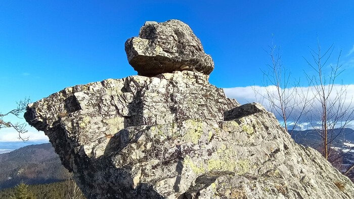 WhatsApp Image 2025-12-23 at 13.53.14 (6).jpeg