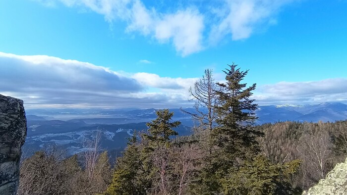 WhatsApp Image 2025-12-23 at 13.53.14 (8).jpeg