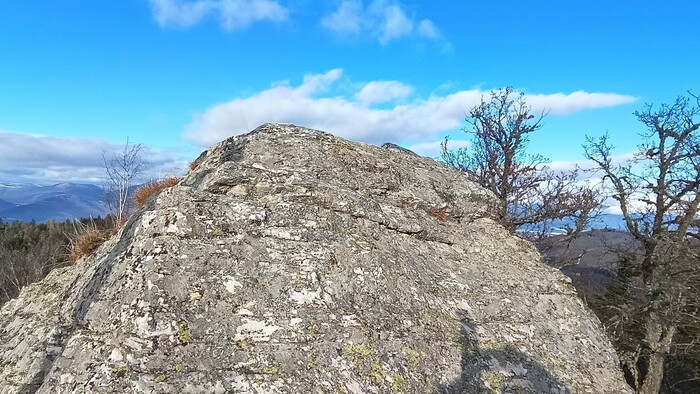 WhatsApp Image 2025-12-23 at 13.53.14 (9).jpeg