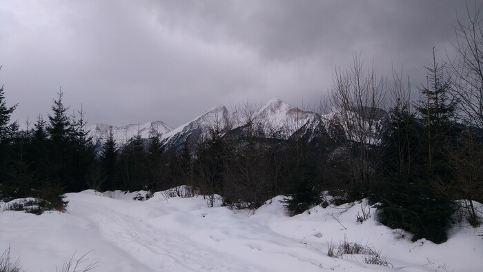 Na Repisko - najvyšší kopec Spišskej Magury