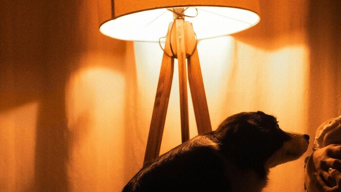 Zažaté svetlo keď nie sme doma