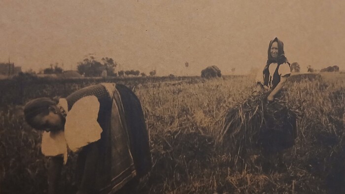 Život bez chladničky. Ako kedysi roľníci skladovali svoje produkty?