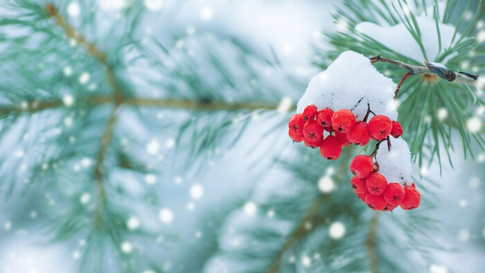 Tipy na nenáročné zimné výlety