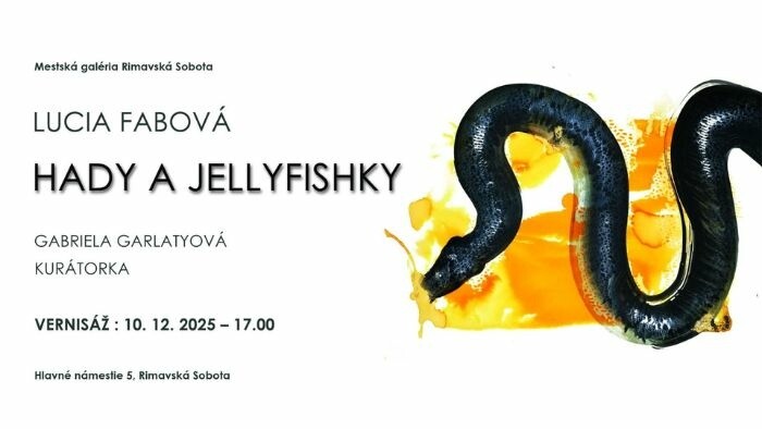 Hady a jellyfishky v Mestskej galérii v Rimavskej Sobote