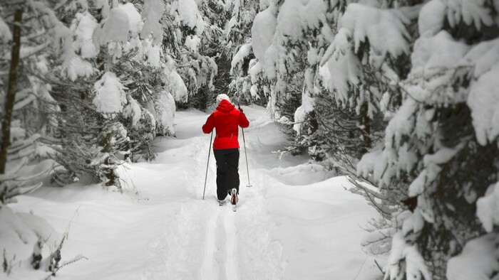 Konal sa 48. ročník Striebornej podkovy