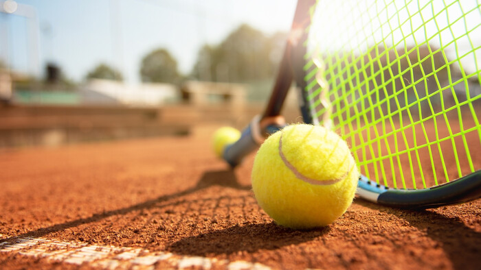 TENIS: Slovensko bez zastúpenia vo dvojhre na Australian Open