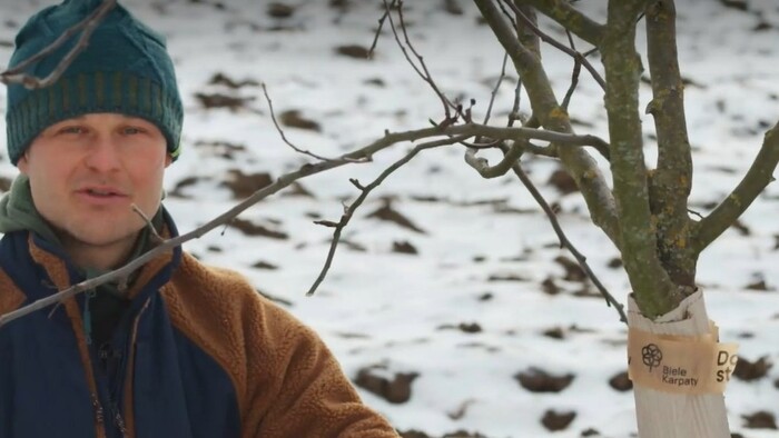 Ľudo-Vašš-strom-zima-kartón-STVR