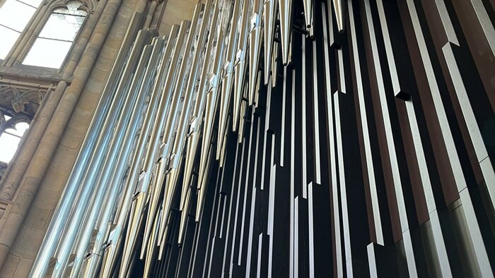 PHOTO-2026-01-23-13-37-07 5.jpg