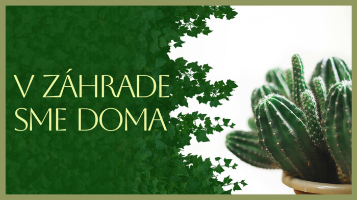 Zimné stanovište kaktusov | V záhrade sme doma