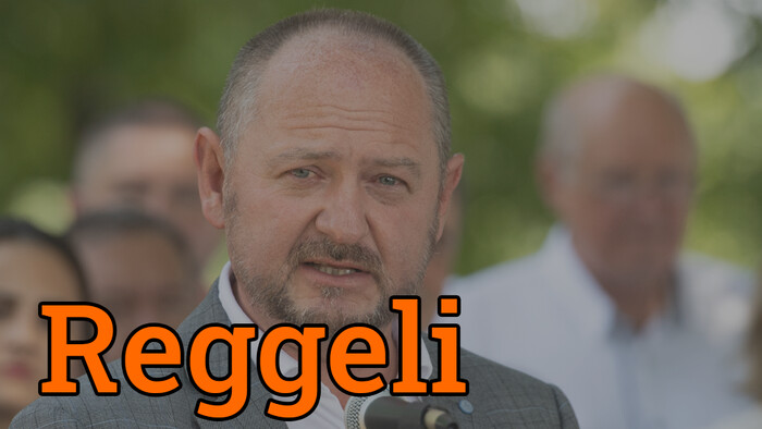 A szlovákiai magánvillák ügyében szólalt fel az Európai Parlamentben Simon Zsolt volt agrárminiszter