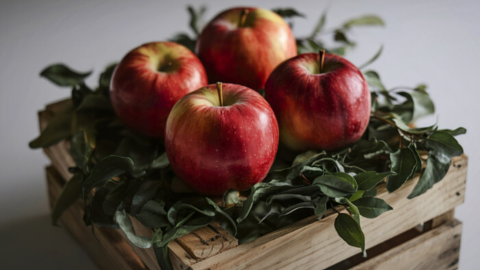 Potravinami proti zápche