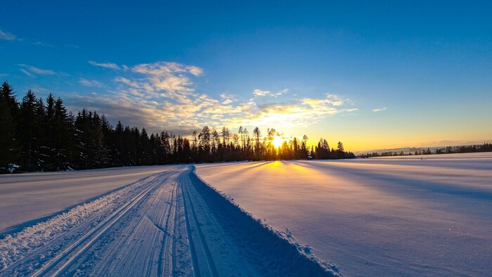 Na bežkách na Filištínskom šľaku