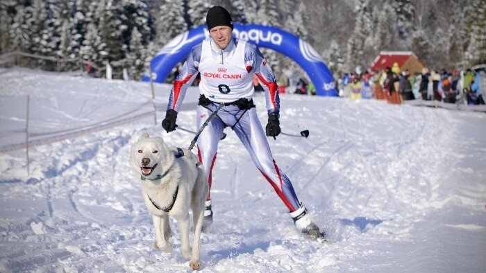 Skijoring v Dobšinej