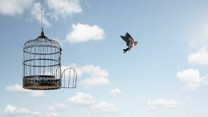 Symposion: Aspekty slobody