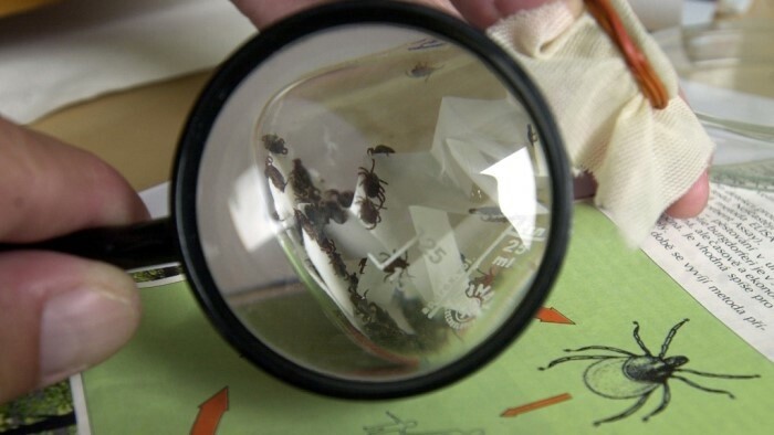 Systém hodnotenia vedy 