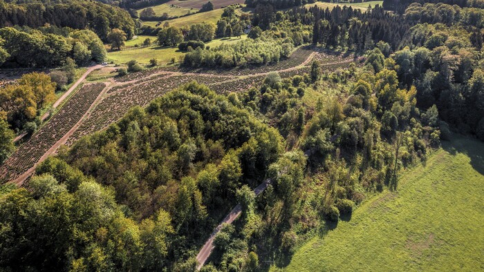 Rozdrobenosť pozemkov