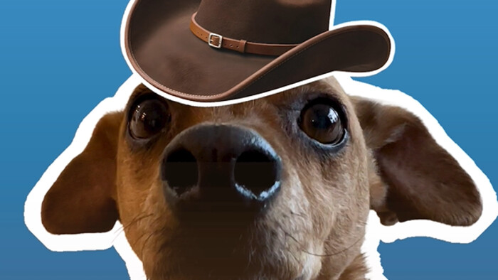 Exkluzívny STVR tipér. Kto podľa neho vyhrá zápas Slovensko- Fínsko?