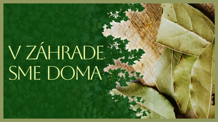 Bobkový list | V záhrade sme doma