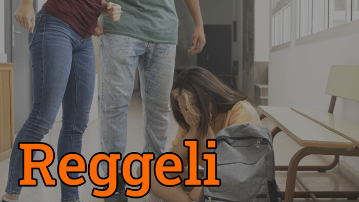 Iskolafelügyelet: a zaklatást gyakran bagatellizálják az iskolák