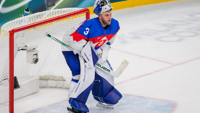 ZOH: Motívy na hokejových brankárskych maskách