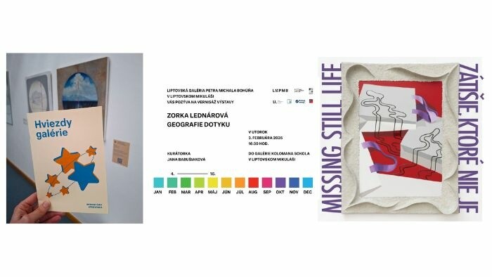 Výstavy pod kurátorským vedením Jany Babušiakovej