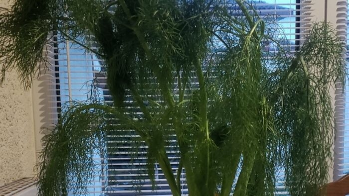 Les amoureux à Talence…