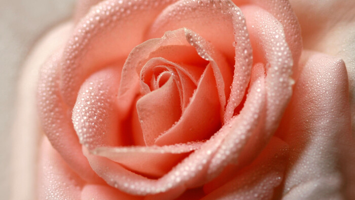 Zamyslenie / Citlivosť