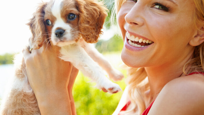 Príliš priateľský pes 