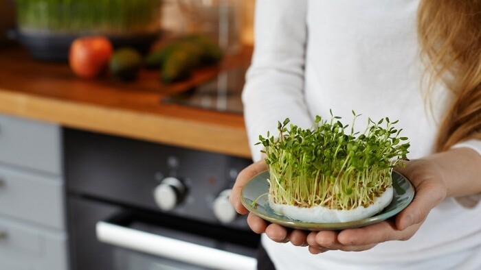 Hľadáme najzdravšie klíčky