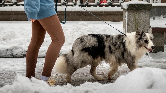 Pevný režim alebo flexibilný?