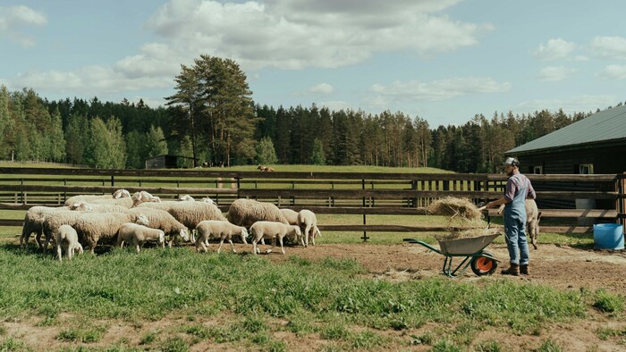 Ekonomika malých fariem | Sobota s Jánom Škorňom