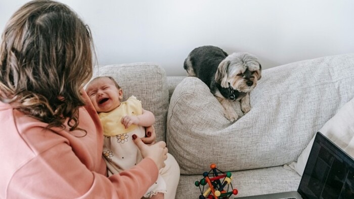 pexels-sarah-chai-bábätko-pes