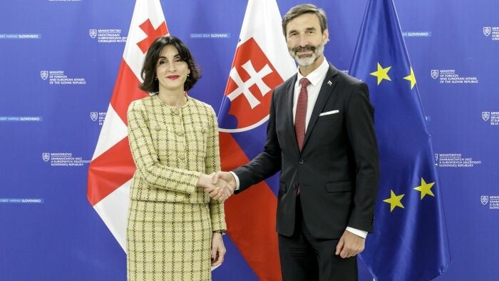 Bonnes relations bilatérales slovaco-géorgiennes