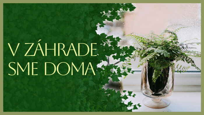 Papraď | V záhrade sme doma