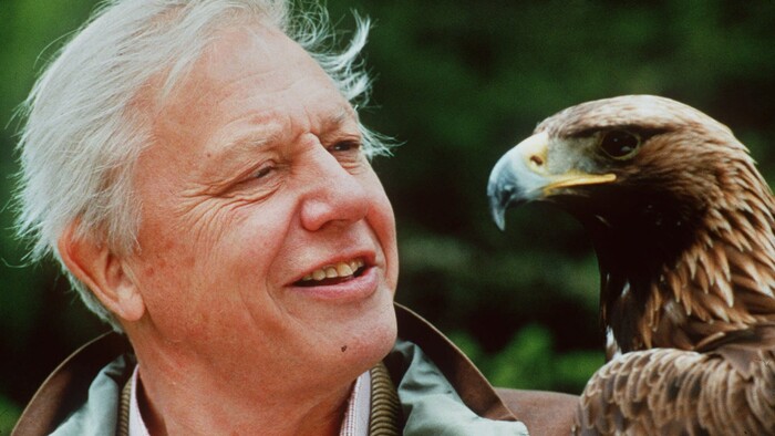 David Attenborough