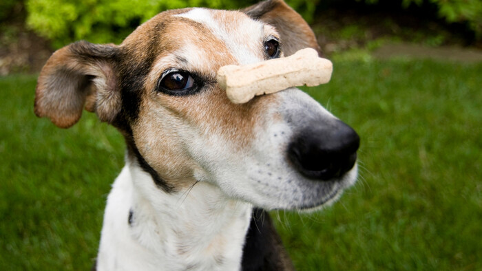 Ako maškrtiť a nepribrať?