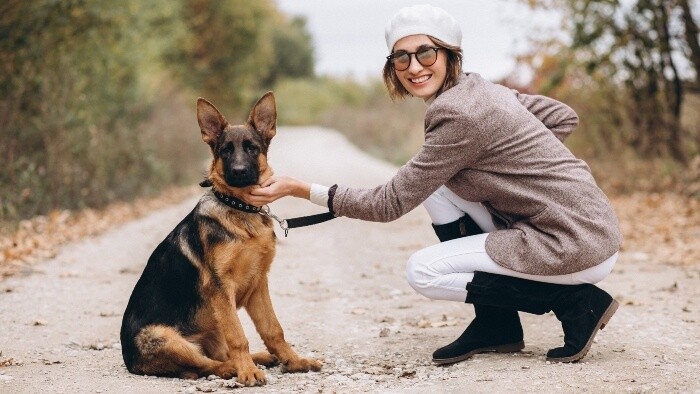Aby pes poslúchal bez opakovania povelu 