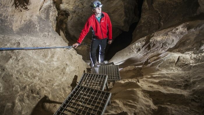 15 nových druhov živočíchov zo slovenských jaskýň