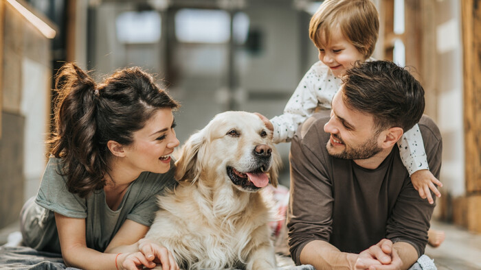 Keď pes neposlúcha člena rodiny 