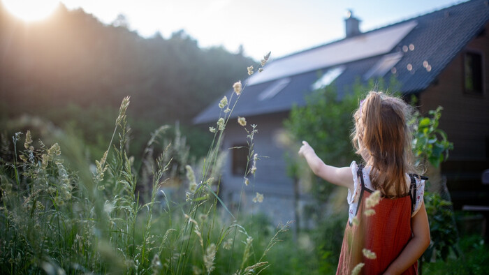 Nezvestná zelená poukážka