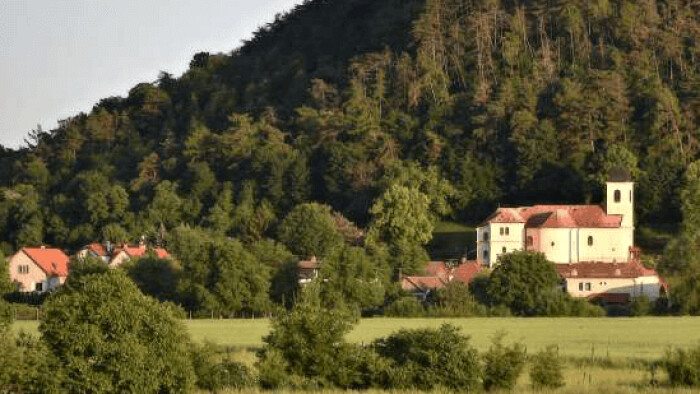 Window to the World 17: Klátova Nová Ves – Vignoles