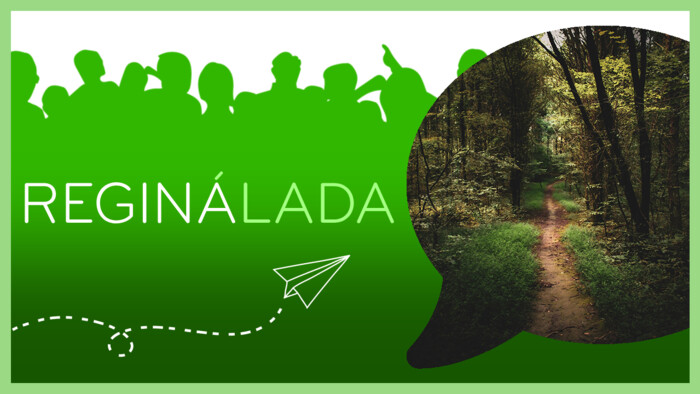 Zabehnuté koľaje, vychodené chodníčky | Reginálada - Denisa Pinková