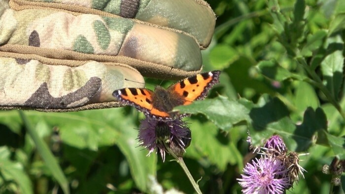 «Реквизиторская героев» во дворце Пальфи