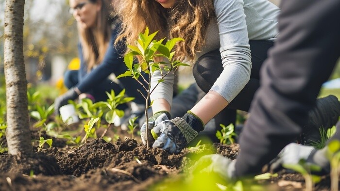 Môžem si na sídlisku pred panelákom vysadiť strom?