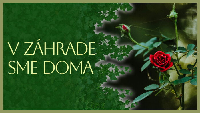 Výsadba ruží | V záhrade sme doma