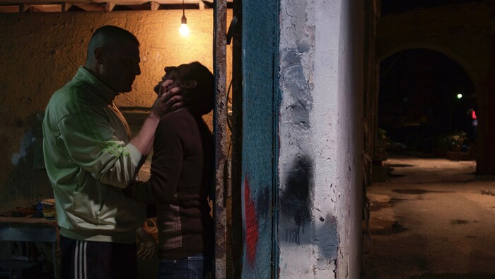 Drsný boxer terorizoval celé okolie