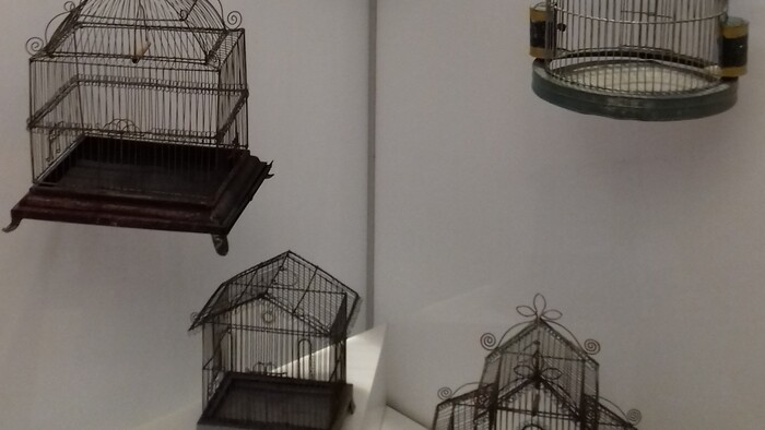 Slovenskí drotári vo svete. Majstri, ktorí nemali konkurenciu?