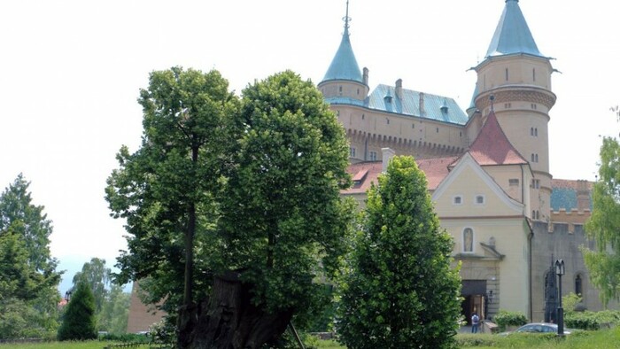 Matej Korvín a jeho lipa v Bojniciach. Koľko listín pod ňou podpísal?