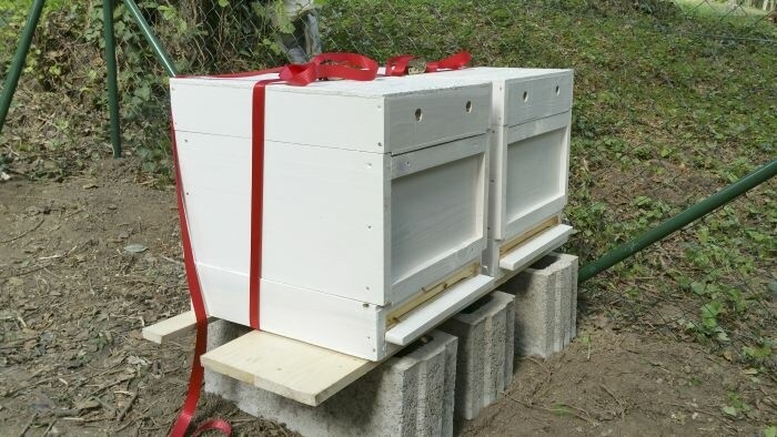 Prvá mestská včelnica 