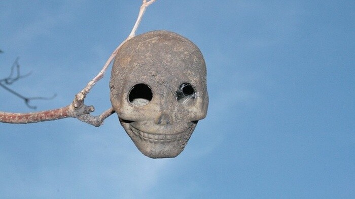 Tip týždňa: Hamlet